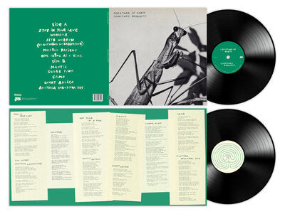 Creature of Habit - Courtney Barnett [VINYL]