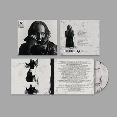 Distracted - Thundercat [CD]