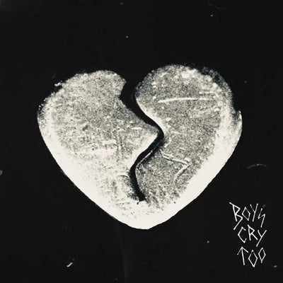 Boys Cry Too - The Haunted Youth [VINYL]