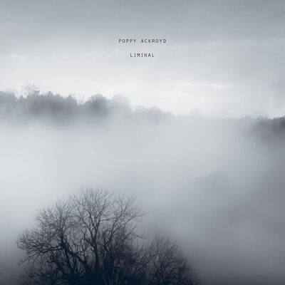 Poppy Ackroyd: Liminal - Poppy Ackroyd [VINYL]