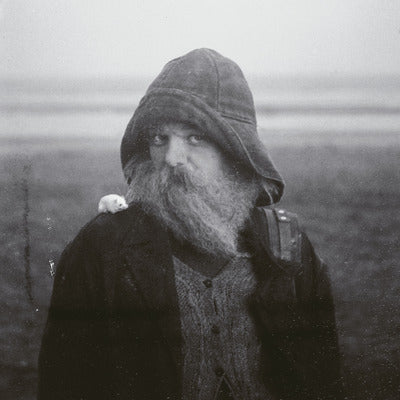 Role Model Hermit - mary in the junkyard [VINYL]