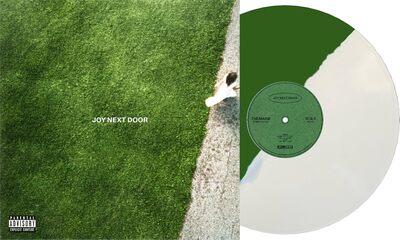 Joy Next Door - The Maine [VINYL]