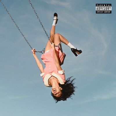 You Seem Pretty Sad for a Girl So in Love - Olivia Rodrigo [VINYL]