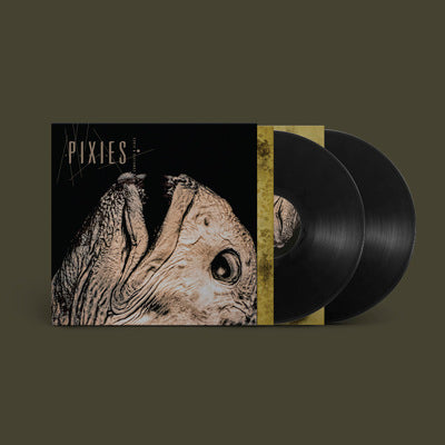 Complete B Sides: 1988-97 (Remastered) - Pixies [VINYL]