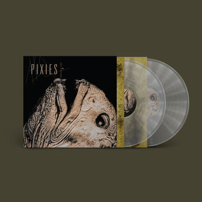 Complete B Sides: 1988-97 (Remastered) - Pixies [Colour Vinyl]