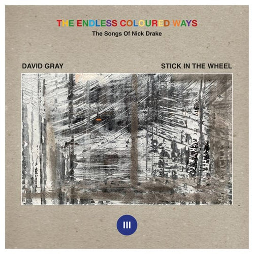 The Endless Coloured Ways: The Songs of Nick Drake - David Gray/Stick In the Wheel [VINYL]