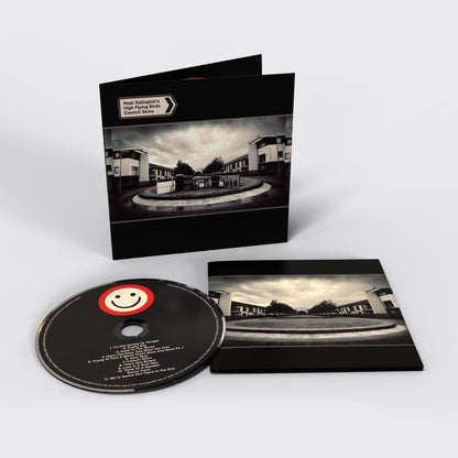 Council Skies - Noel Gallagher's High Flying Birds [CD]