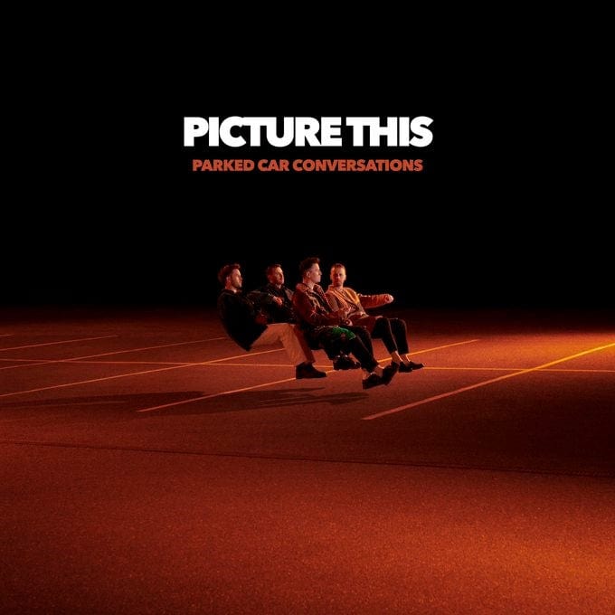 Parked Car Conversations - Picture This [VINYL]