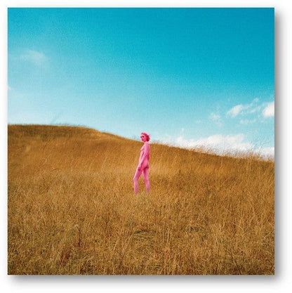 Further Joy (Indie Exclusive Pink Edition) - The Regrettes [Colour Vinyl]