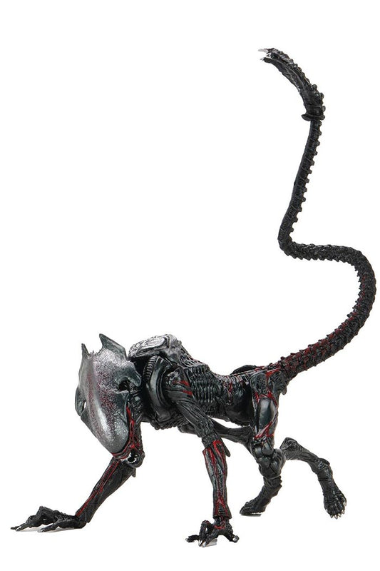 Aliens Kenner Tribute 9 Inch Action Figure Ultimate - Night Cougar Alien