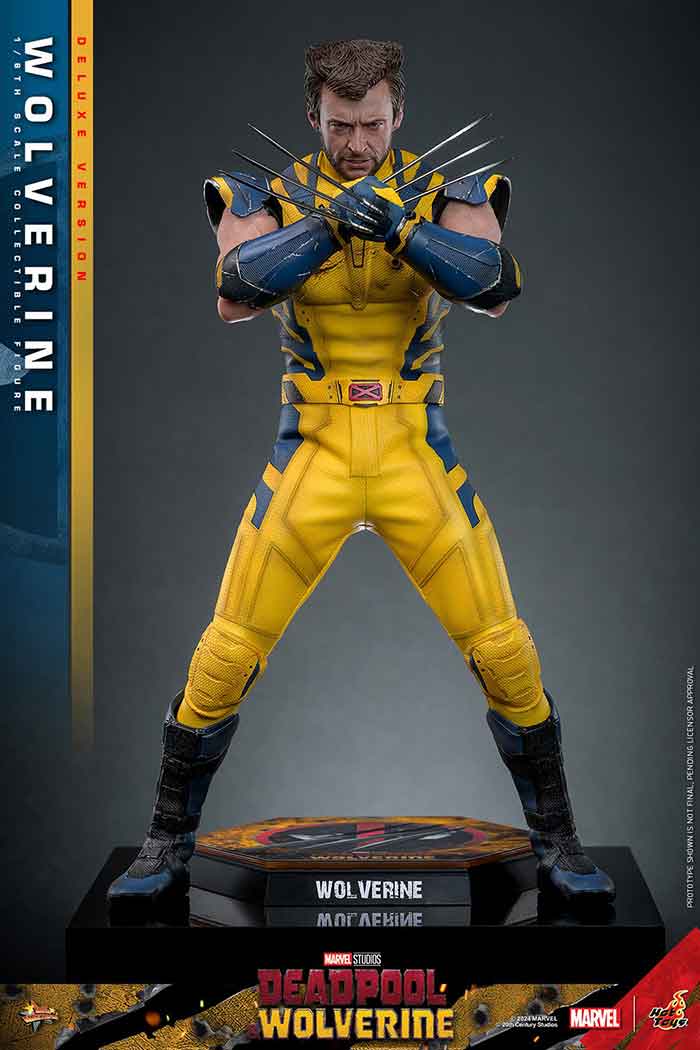 Deadpool & Wolverine 12 Inch Action Figure 1/6 Scale - Wolverine Deluxe Version Hot Toys 9134872