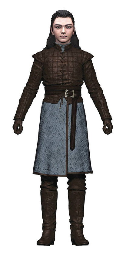 Game Of Thrones 6 Inch Action Figure Series 1 - Arya Stark